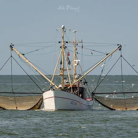 Watt Un Leev In Direkter Strand&citynähe Von