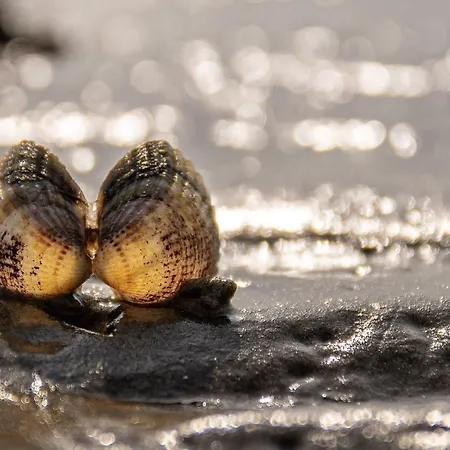 Apartment Watt Un Leev In Direkter Strand&citynähe Von *